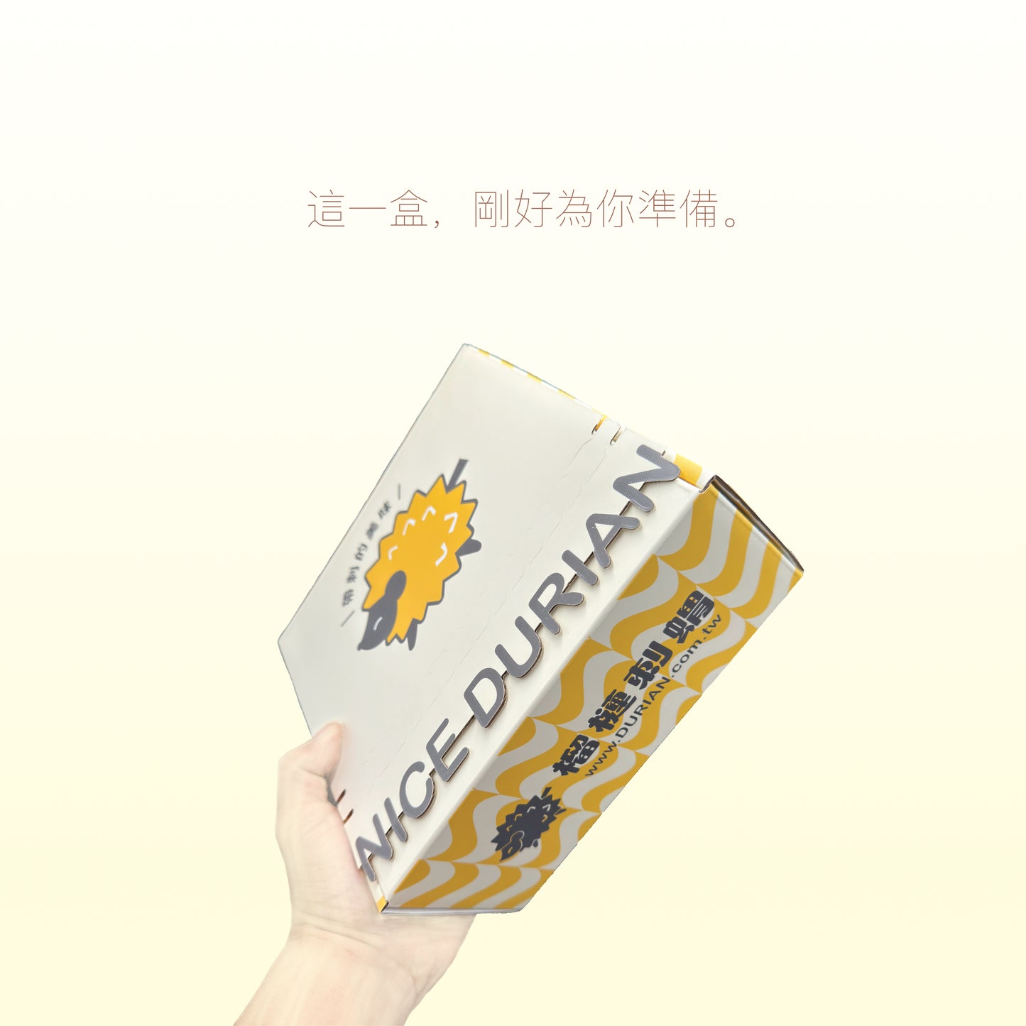 榴槤五重奏